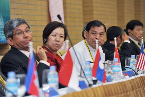 TELMIN 2011