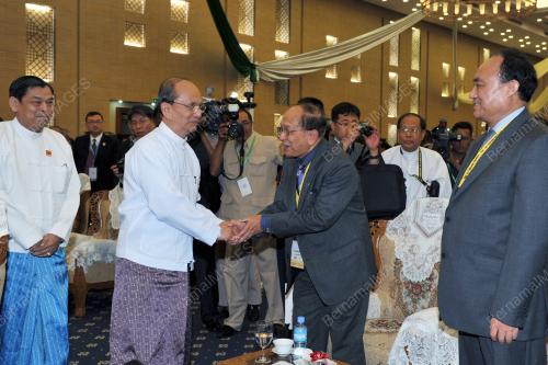 TELMIN 2011