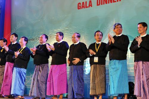 TELMIN 2011