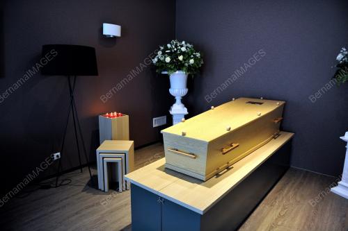 NED02_25082014_MH17