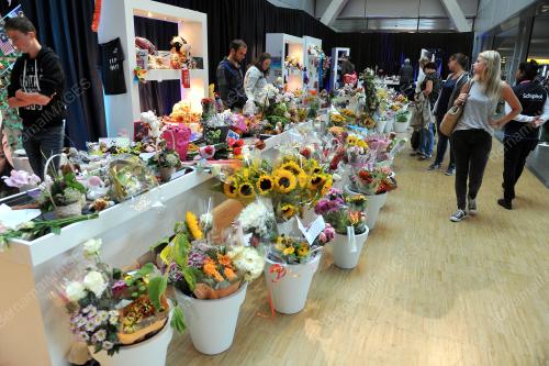 NED05_17082014_MH17