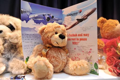 NED06_17082014_MH17