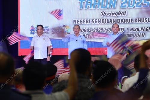 DATUK SERI AMINUDDIN HARUN 