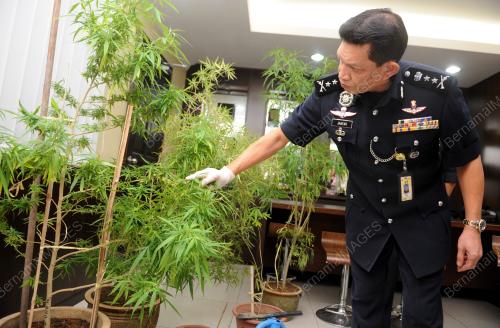 NS01_02072015_POLIS_DADAH