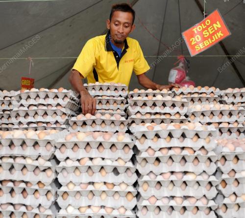 TELUR AYAM