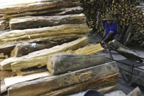 KAYU API BAHAN BAKAR LEMANG