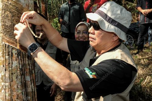DATUK SERI FADILLAH YUSOF