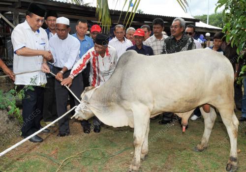 DATUK SERI DR RAIS YATIM