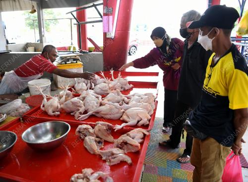 AYAM