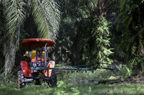 SEKTOR INDUSTRI SAWIT