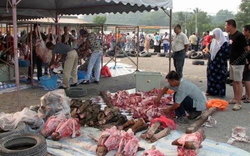 DAGING LEMBU