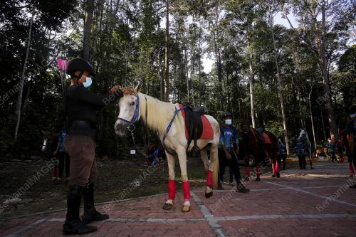 SAMBUTAN HARI HUTAN ANTARABANGSA PERINGKAT NEGERI SEMBILAN
