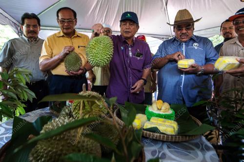 NS01_09012018_PELADANG