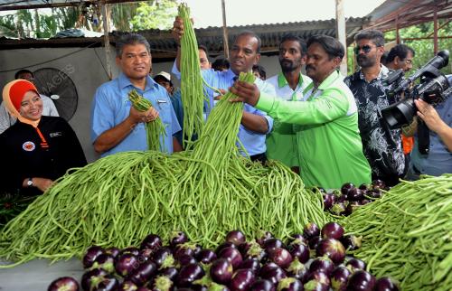 NS01_09032017_SARAVANAN_LAWAT