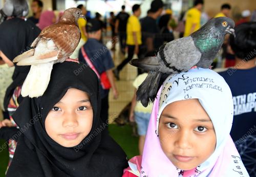 NS01_09062019_MINANGKABAU_RAYA