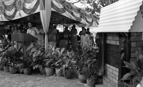 NS01_11032015_BATU_ASAS008