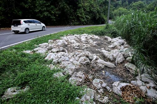 PENCEMARAN KESAN SISA BUANGAN