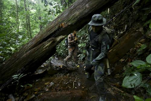 NS01_12082019_SAR_GUNUNG