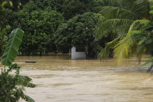 BANJIR KILAT DI KAMPUNG SEGA HILIR, RANTAU