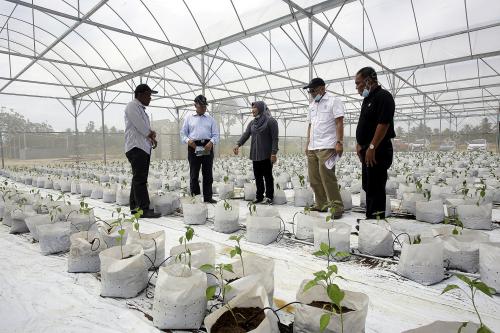 DATUK SERI MUSTAPHA MOHAMED