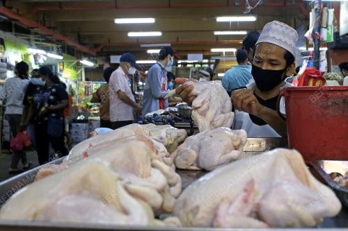 HARGA AYAM PASARAN