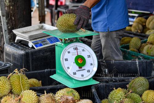 KPDN_DURIAN