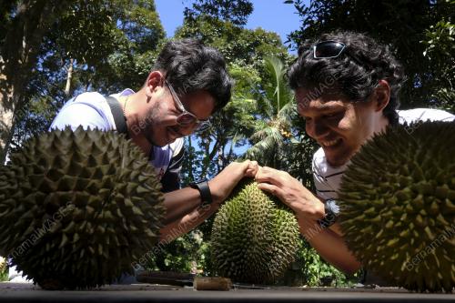 PROGRAM MAKAN DURIAN BERSAMA MEDIA NEGERI SEMBILAN