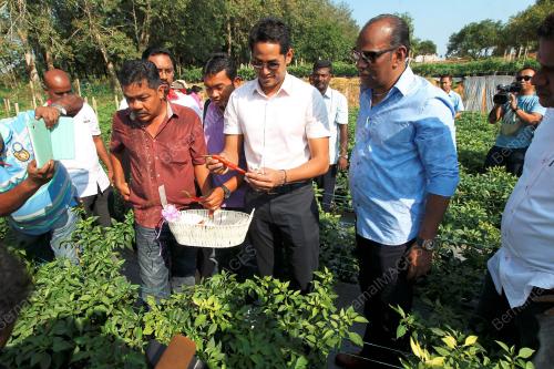 NS01_18012015_KHAIRY_LADANG