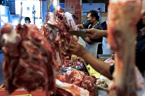 PERSIAPAN AWAL MENJELANG PERAYAAN AIDILADHA