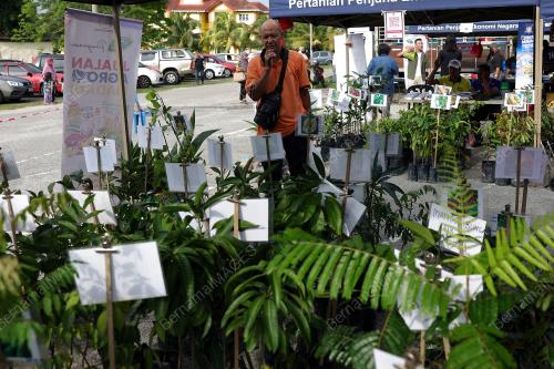 JUALAN AGRO MADANI