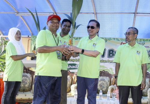 NS01_20042019_KELAPA_BN201904176947