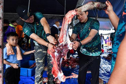 KORBAN PERDANA MADANI PARLIMEN PD