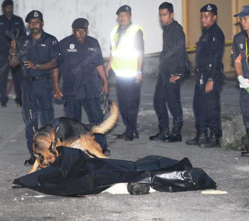 NS01_20092012_KES_BUNUH