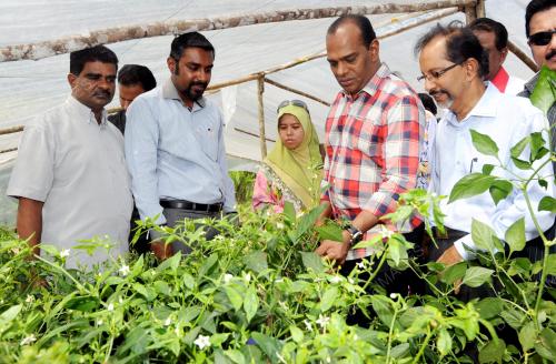 NS01_21072014_SARAVANAN_LAWAT