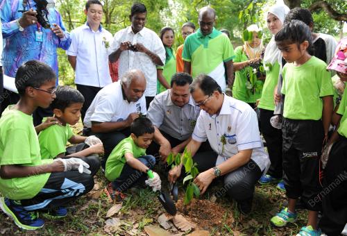 NS01_21072016_GO_GREEN