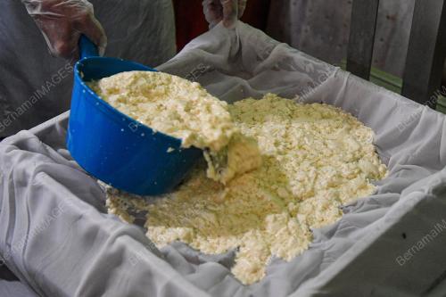 BERASASKAN_SOYA