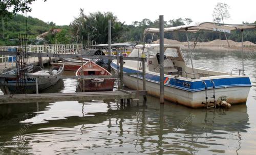 BUAYA