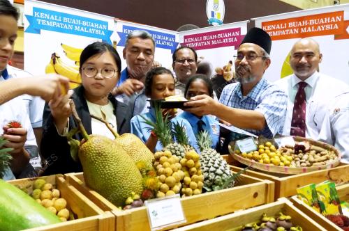 NS01_24072018_KEMPEN_BUAH