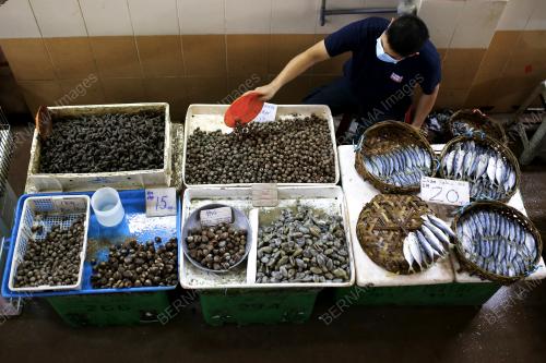 BEKALAN PRODUK MAKANAN MENCUKUPI