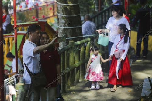 TINJAUAN TAHUN BARU CINA