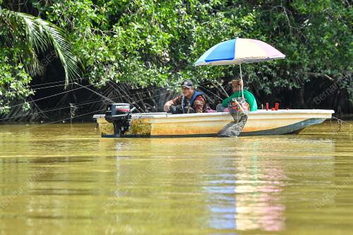 SOPIT BIRU SUNGAI TIMUN