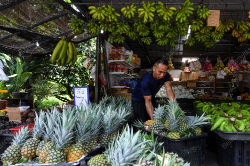 HARI NANAS ANTARABANGSA