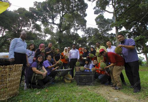 NS01_28062019_MEDIA_DURIAN
