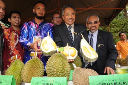 NS01_28072016_SEMINAR_DURIAN