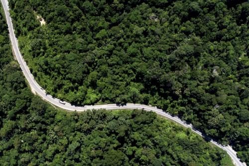 HUTAN HUJAN DI JELEBU