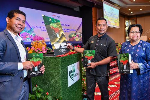 DATUK LOKMAN HAKIM ALI