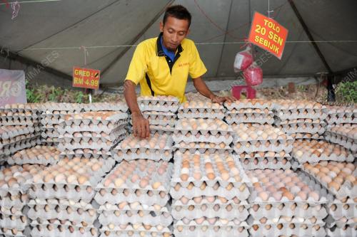 TELUR AYAM