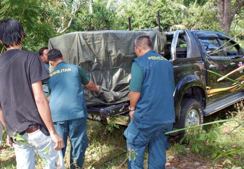 NS02_03102013_HARIMAU_KUMBANG