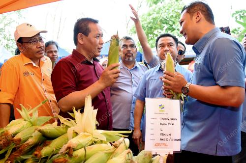 NS02_04052019_PASAR_TANI