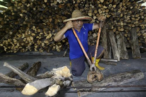 KAYU API BAHAN BAKAR LEMANG